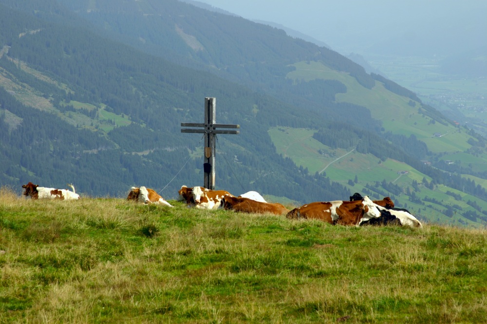 Gipfelkreuz