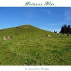 "Gipfelkreuz Köpfle oberhalb der Siede Alpe"