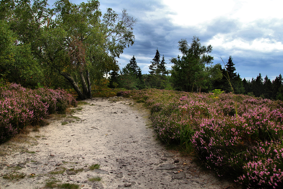 Gipfelruhe