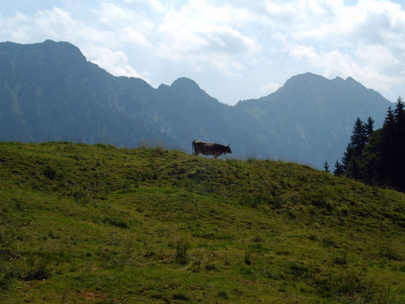 Gipfelstürmer