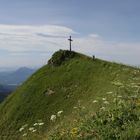 Gipfelstürmer