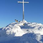 Gipfelstürmer - am Arber, Bayerischer Wald