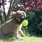 Gipfelstürmer ohne Ballverlust