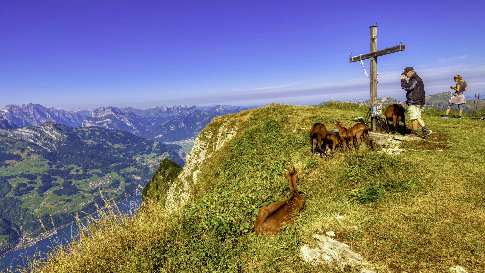 Gipfeltreffen Foto & Bild europe, schweiz & liechtenstein, tiere