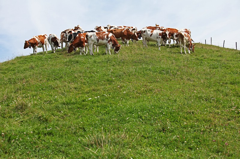 Gipfeltreffen