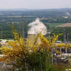 "Gipfeltreffen" Maiandacht 2015 auf der Halde Oberscholven, Gelsenkirchen