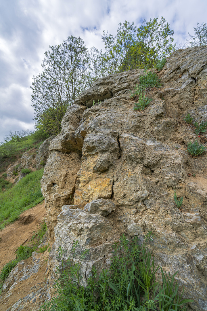 Gipsberg bei Sperenberg