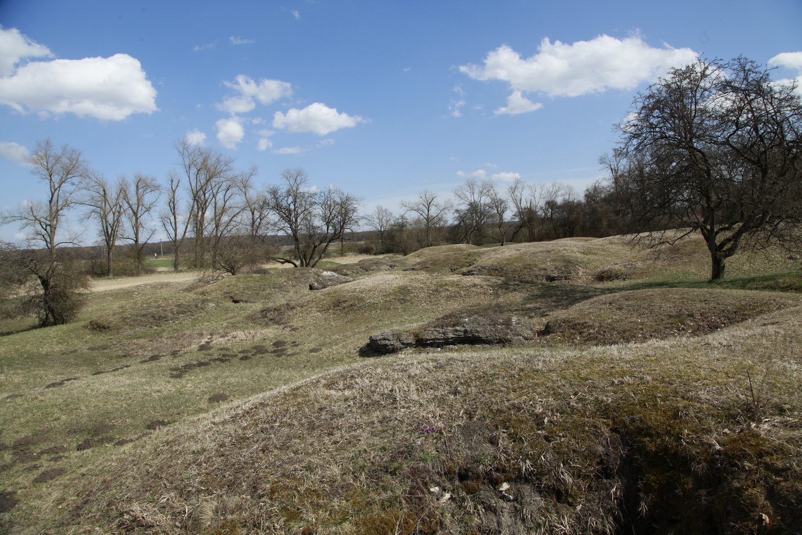 Gipshügel Landschaft im Frühling _MG_7441