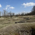 Gipshügel Landschaft im Frühling _MG_7441