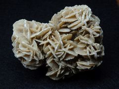 Gipsrose aus der Sahara/Marokko