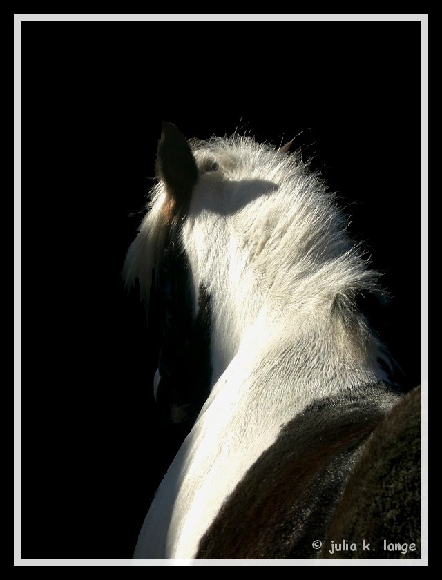 Gipsy Gitan - irische Sonne!