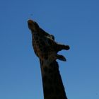 Girafa