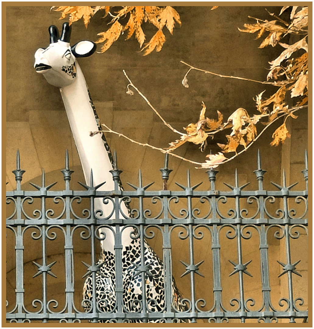 Girafe au balcon