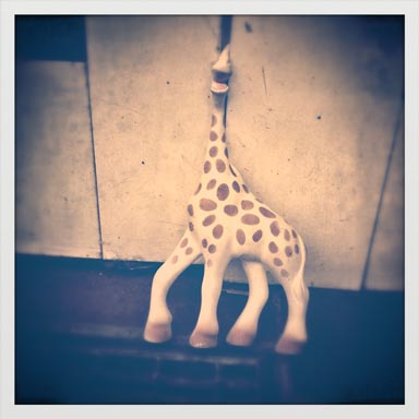 Giraff