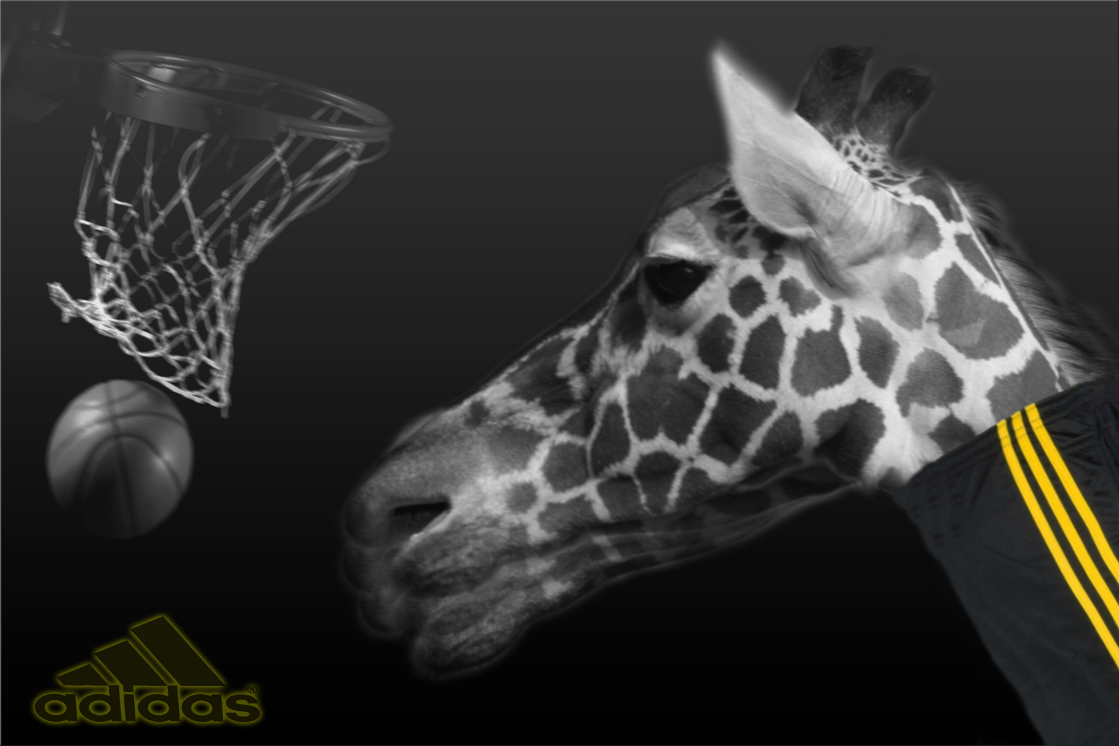 Giraffe die Basketball spielt