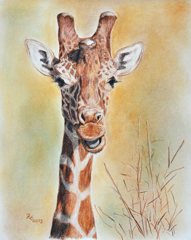 Giraffe - ein Portrait