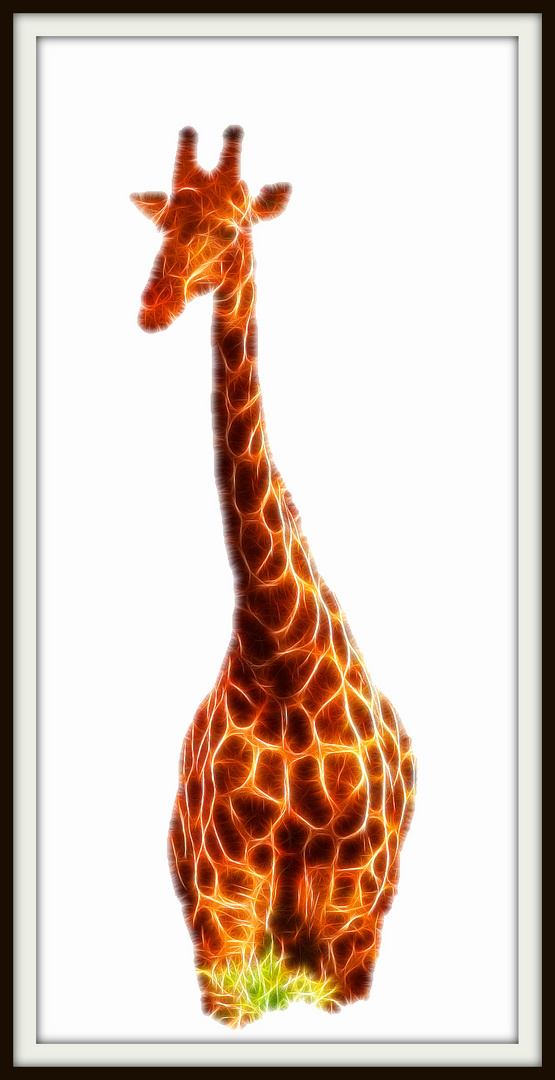 Giraffe fraktal