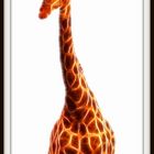 Giraffe fraktal