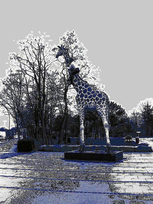 Giraffe II