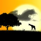 Giraffe im Sonnenuntergang