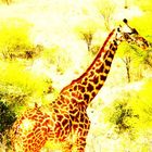 Giraffe mit Begleitung