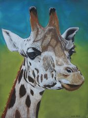 Giraffe - mit Pastellkreide gezeichnet