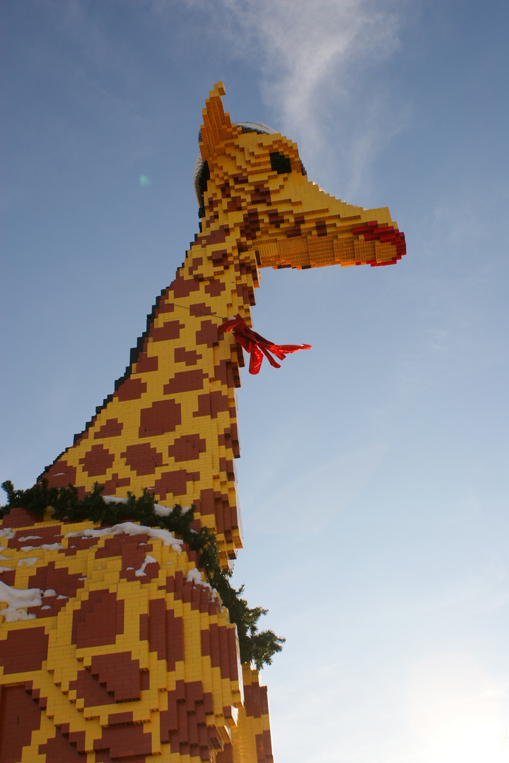 Giraffe :O)