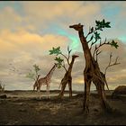 Giraffenbrotbaum