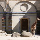 Giraffenhaus im Berliner Zoo