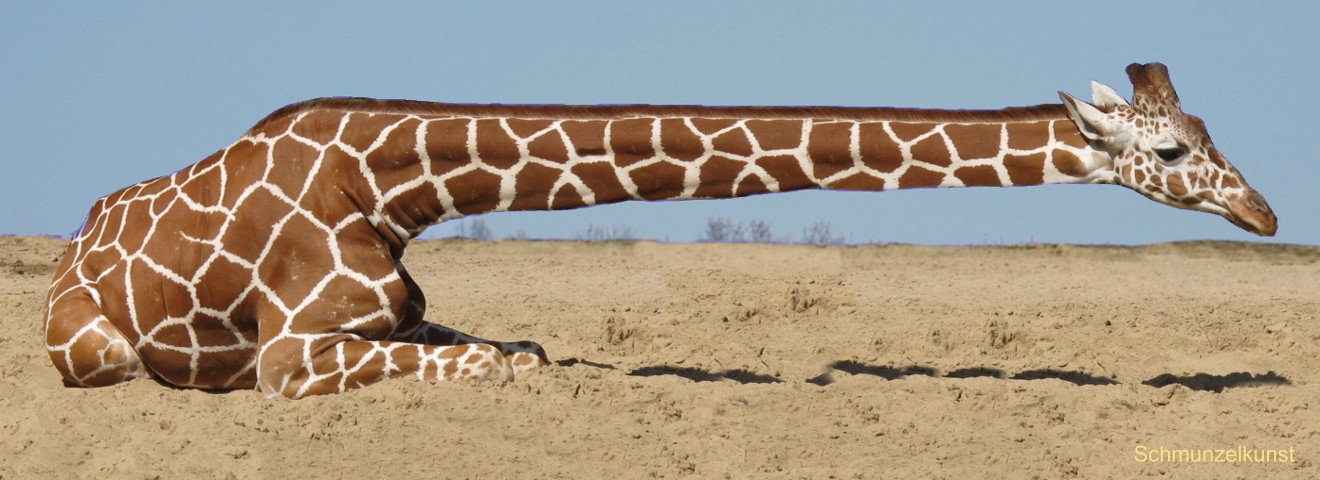 Giraffffe