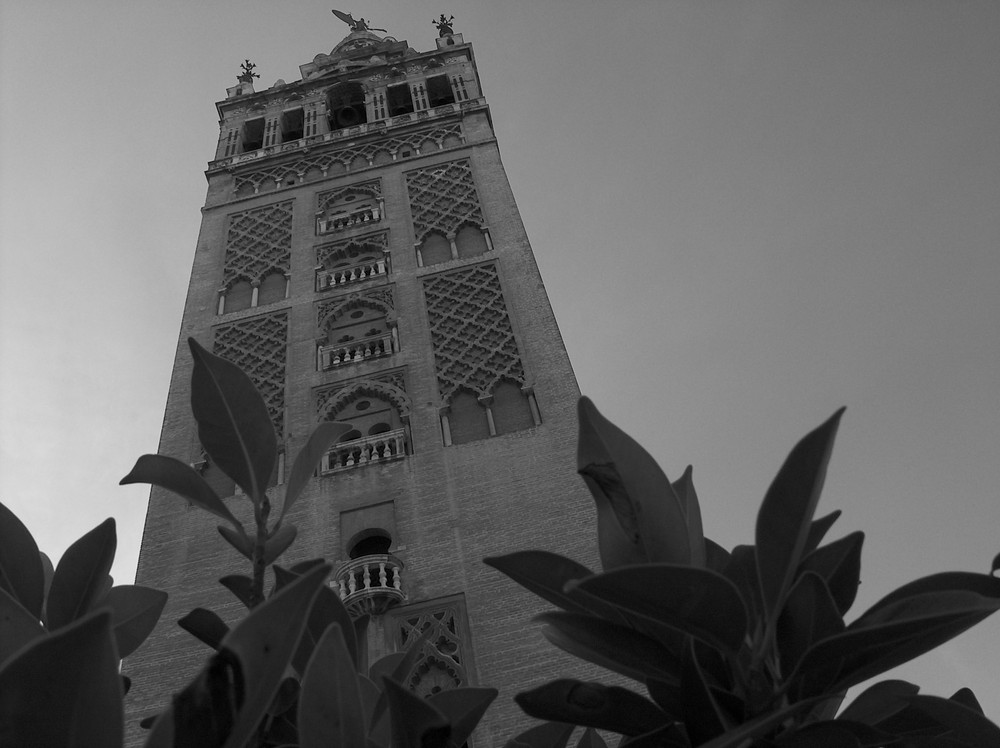 Giralda