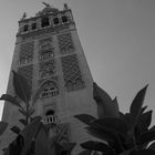 Giralda