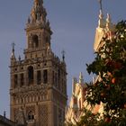 Giralda de Sevilla