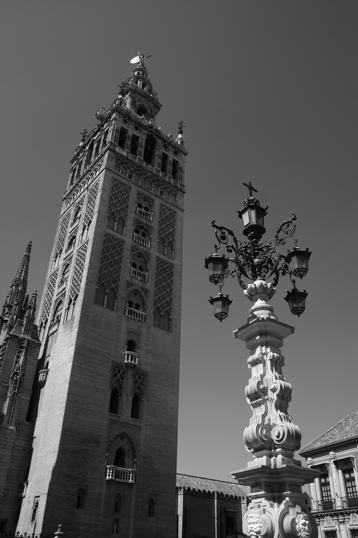 Giralda der Kathedrale von Sevilla