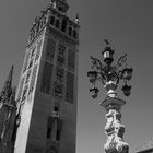 Giralda der Kathedrale von Sevilla