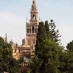 giralda desde el alcazar