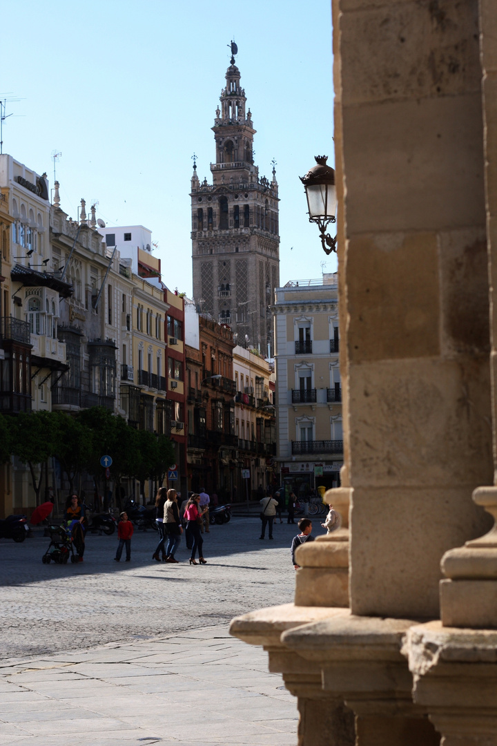 Giralda. Plaza de San Francisco.