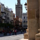 Giralda. Plaza de San Francisco.