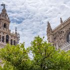 Giralda und Kathedrale von Sevilla