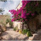 Girando tra i vicoli della Rocca di Monemvasia