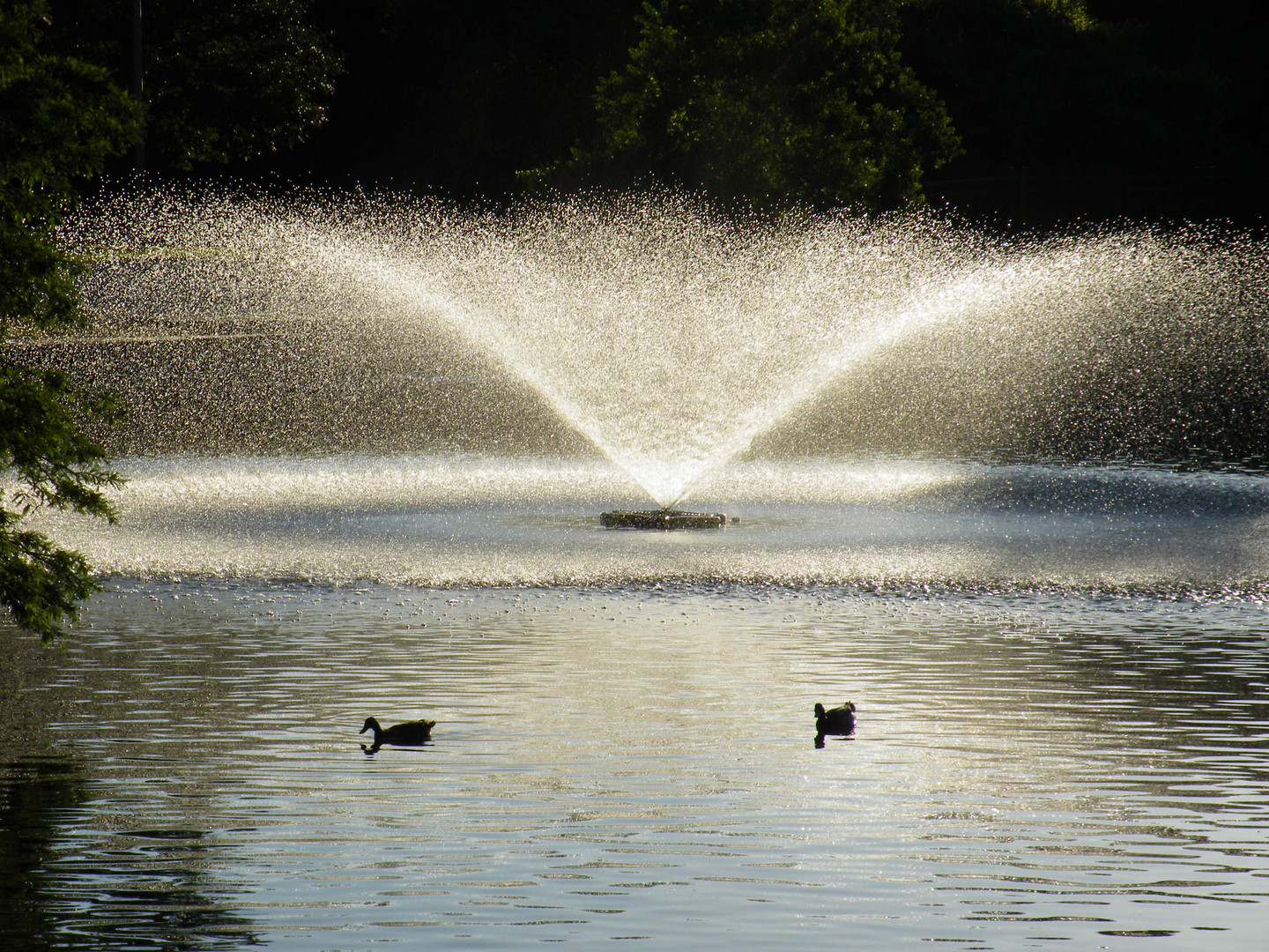 Girard Park