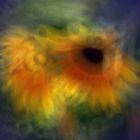 Girasol