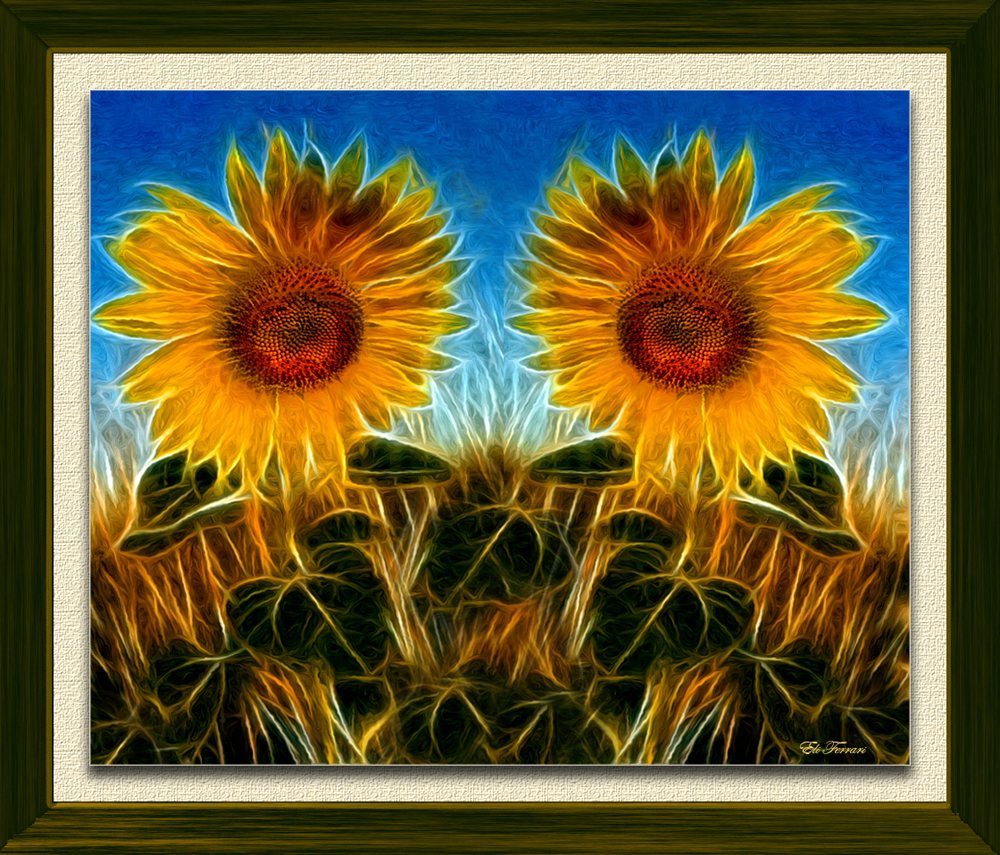 Girasoles