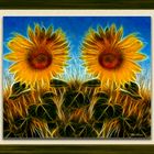 Girasoles