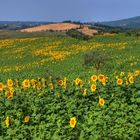 GiRaSoLi