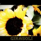 GIRASOLI