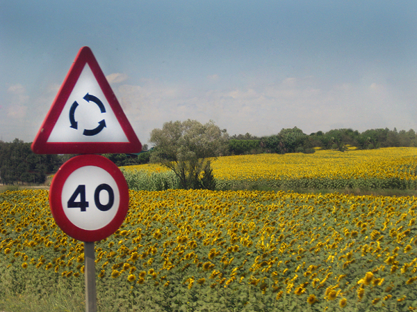 Girasoli a Girona