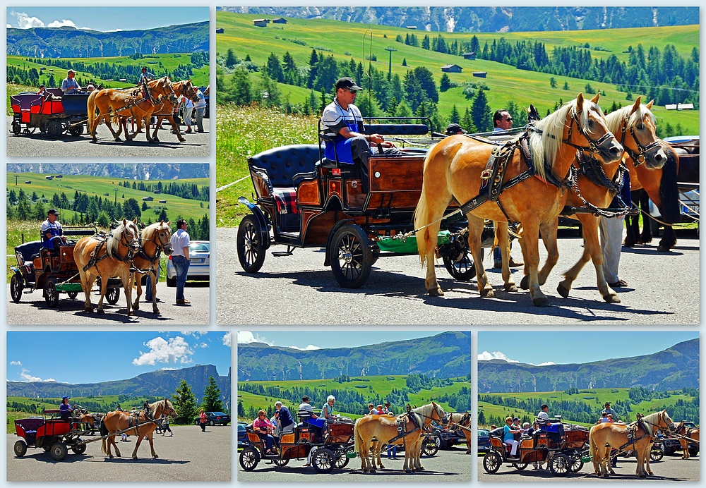 ..giri in carrozza..