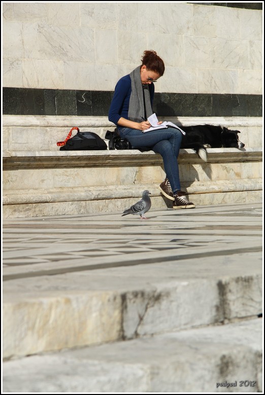 Girl and pigeon Siena Cathedral