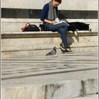 Girl and pigeon Siena Cathedral